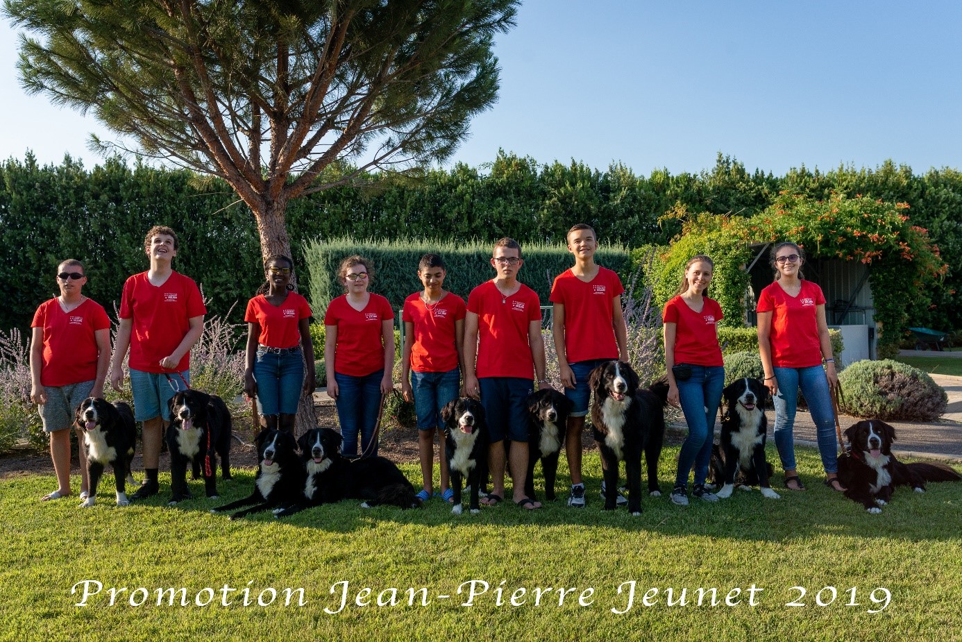 Photo de la promotion Jean-Pierre Jeunet 2019 - des jeunes souriants, chacun accompagné de son chien